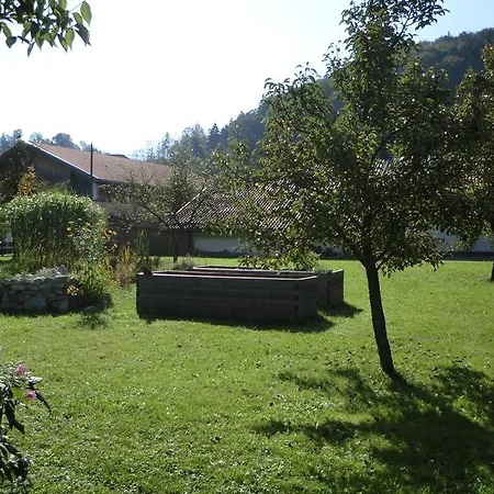 Heidinger Appartement Oberaudorf Buitenkant foto